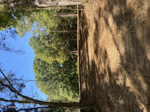O Bluff Road