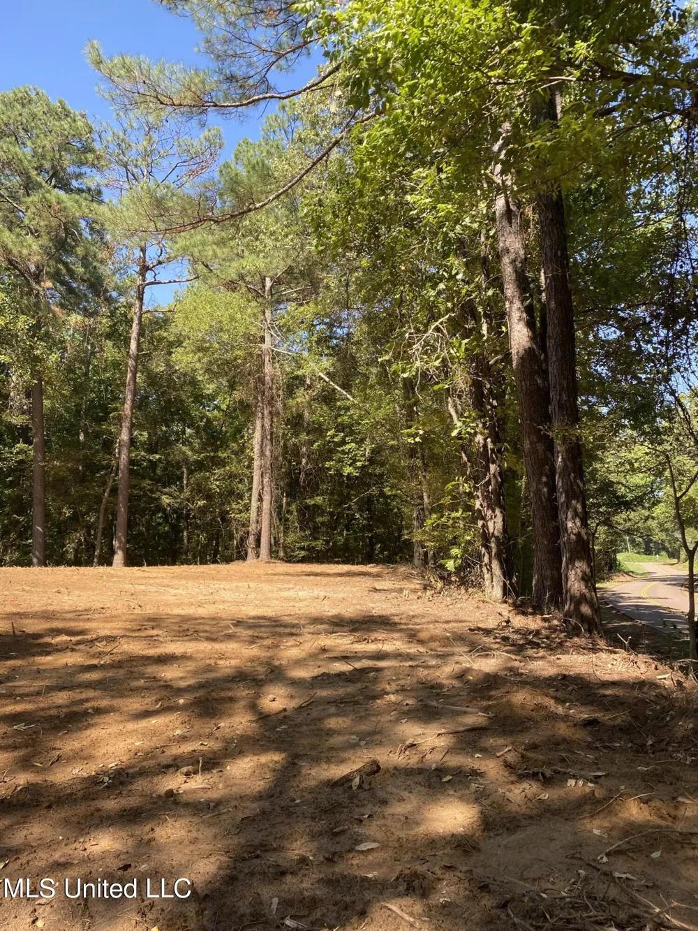 O Bluff Road Coldwater, MS 38618