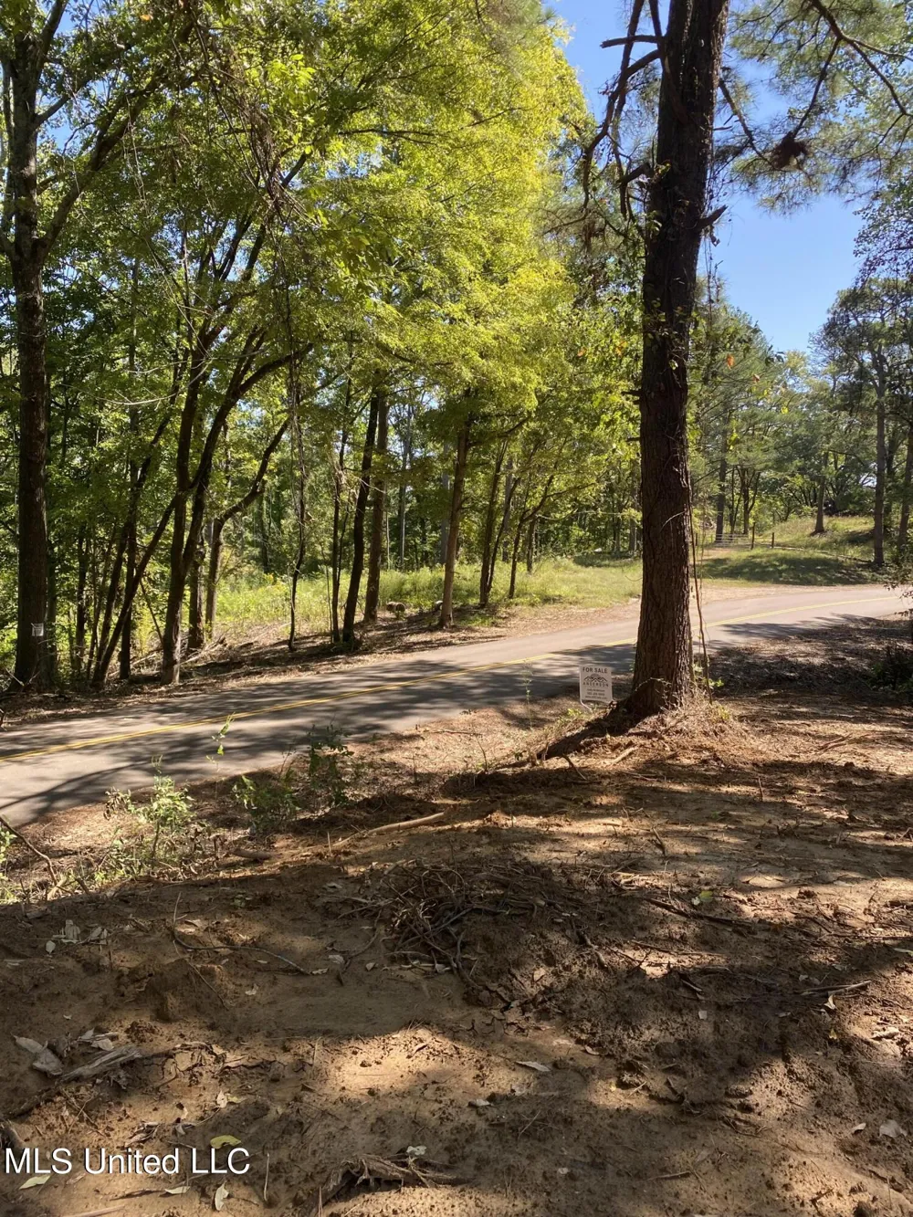 O Bluff Road Coldwater, MS 38618