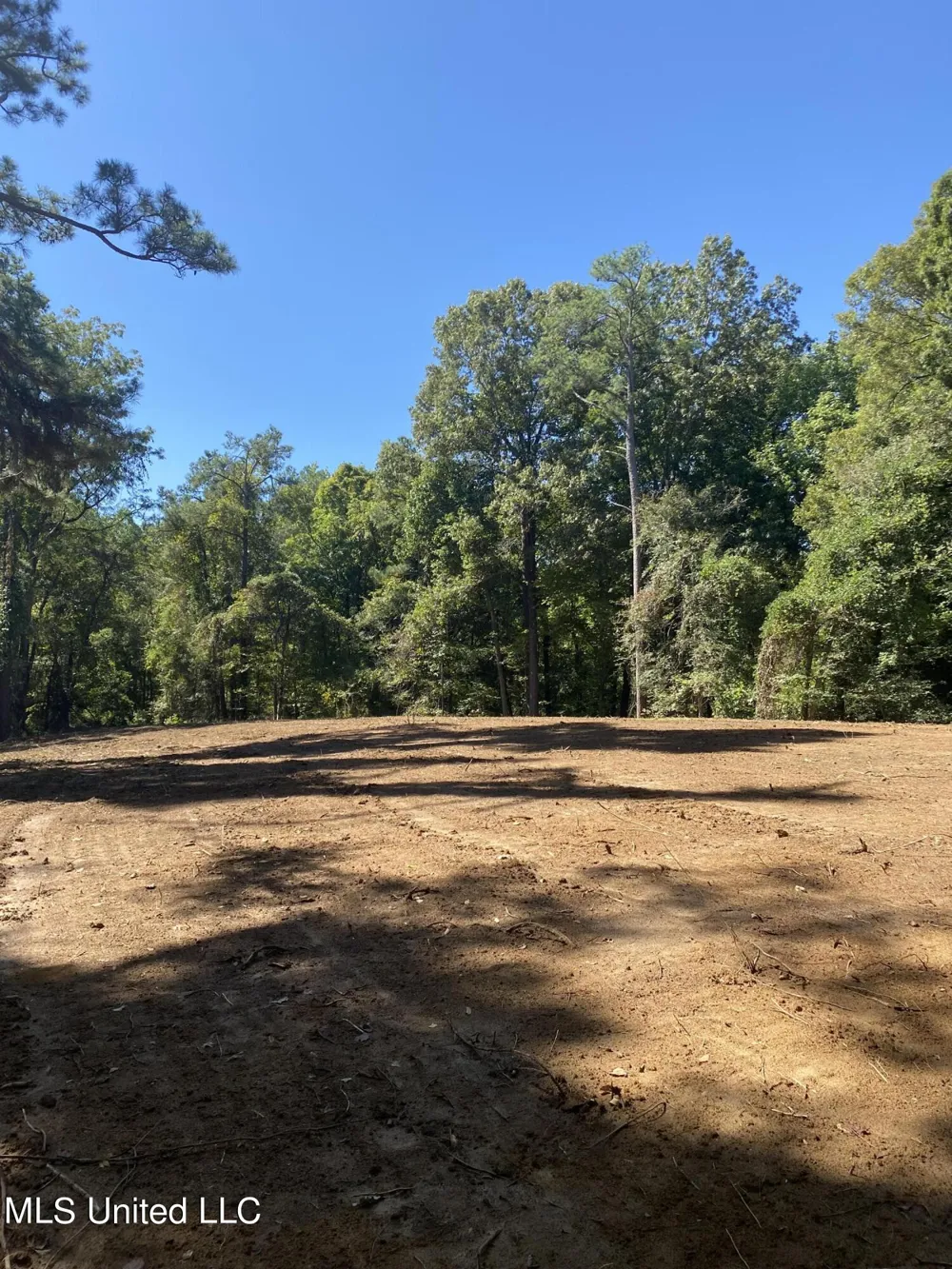 O Bluff Road Coldwater, MS 38618