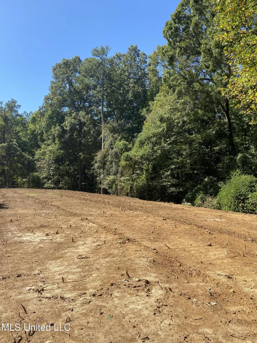 O Bluff Road Coldwater, MS 38618