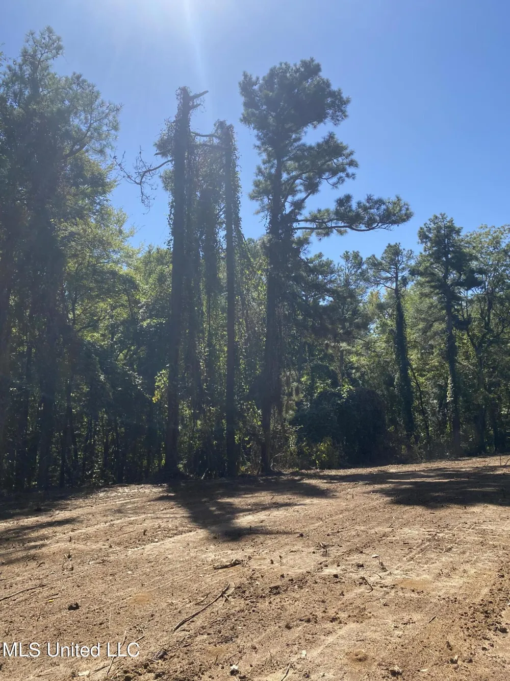 O Bluff Road Coldwater, MS 38618