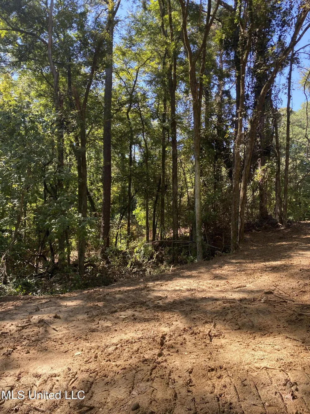 O Bluff Road Coldwater, MS 38618