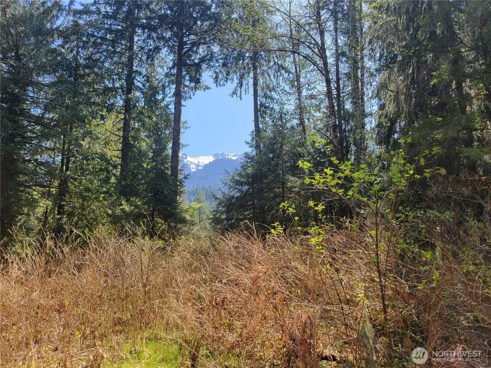 0 XXX Mtn Loop Highway Granite Falls, WA 98252
