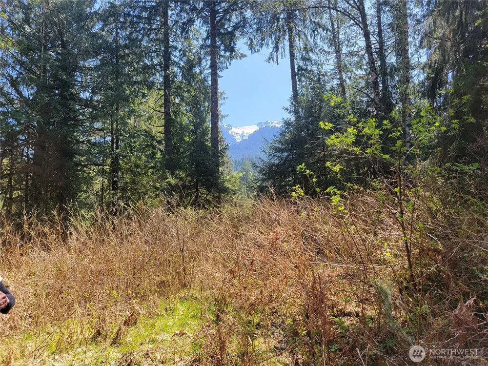 0 XXX Mtn Loop Highway Granite Falls, WA 98252