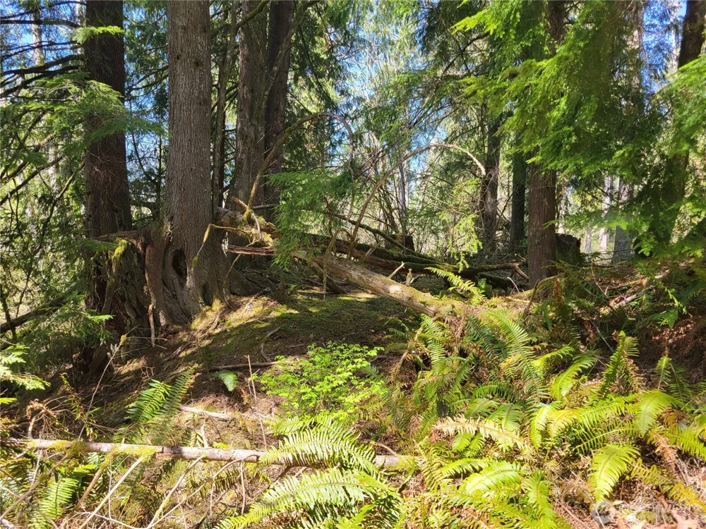 0 XXX Mtn Loop Highway Granite Falls, WA 98252