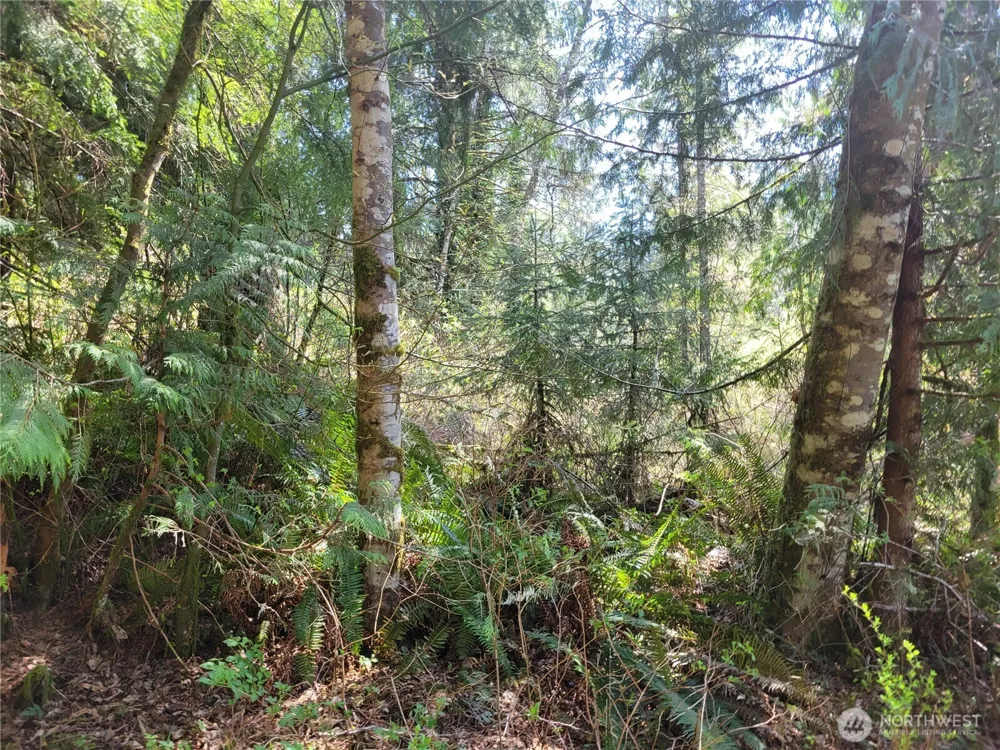 0 XXX Mtn Loop Highway Granite Falls, WA 98252