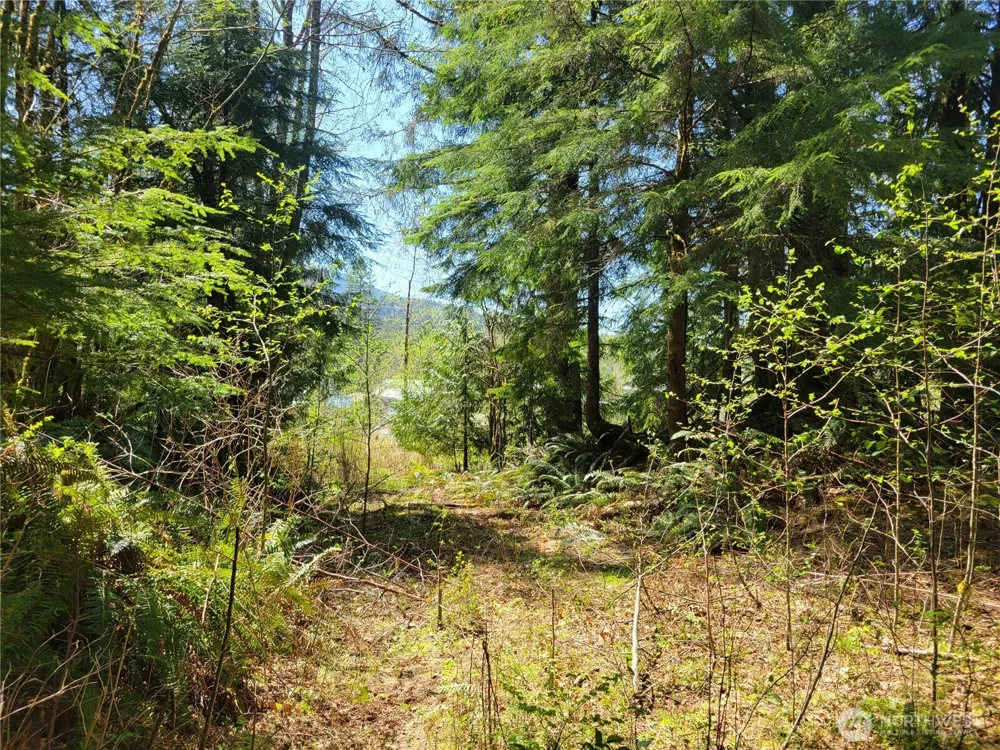 0 XXX Mtn Loop Highway Granite Falls, WA 98252