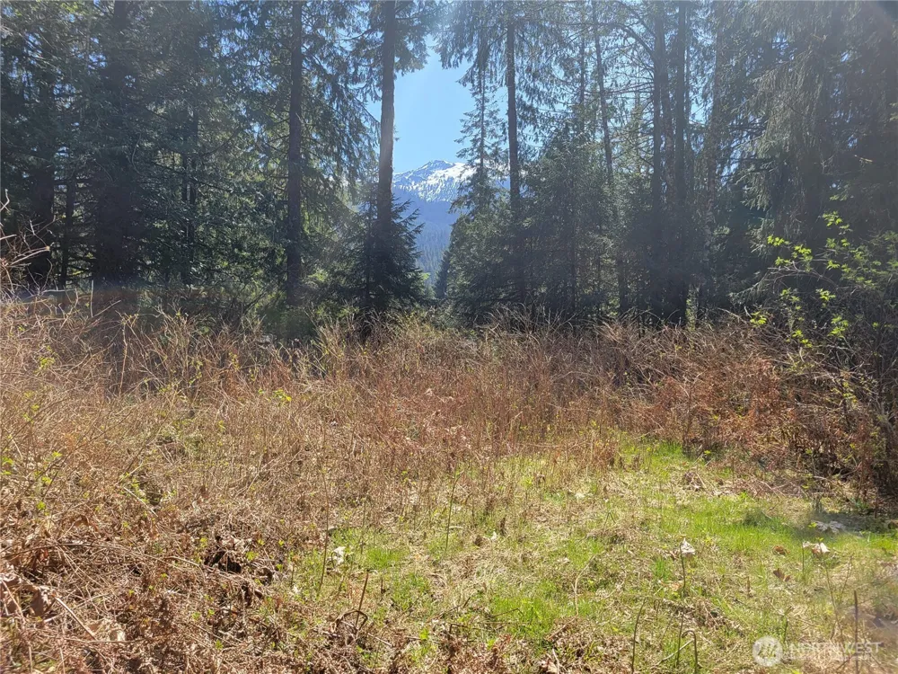 0 XXX Mtn Loop Highway Granite Falls, WA 98252