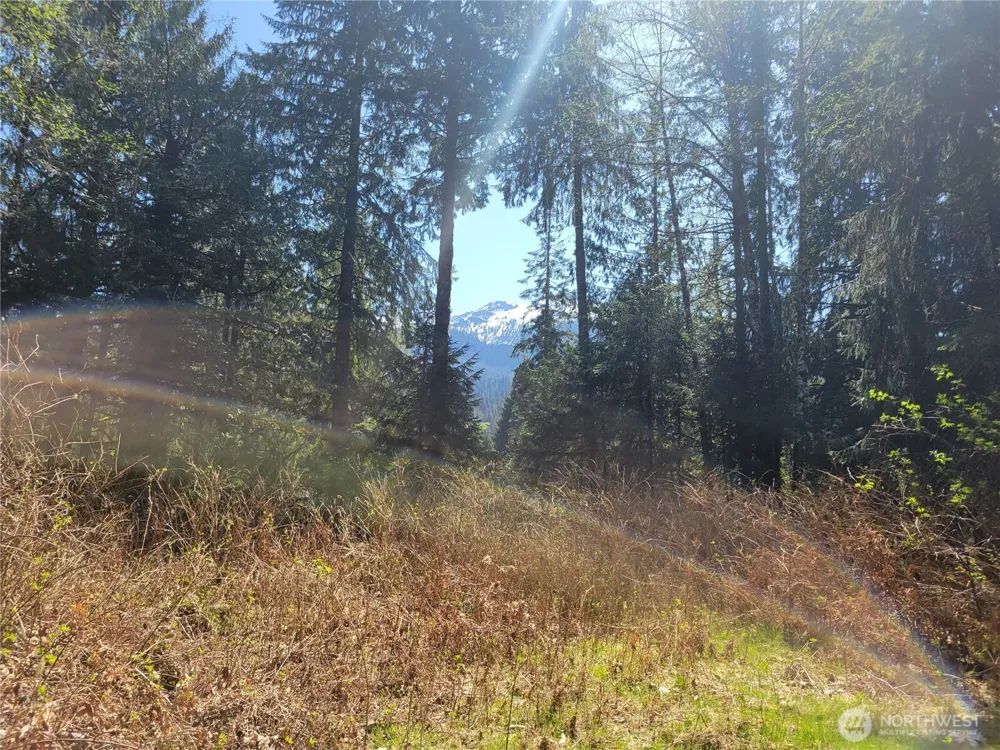 0 XXX Mtn Loop Highway Granite Falls, WA 98252