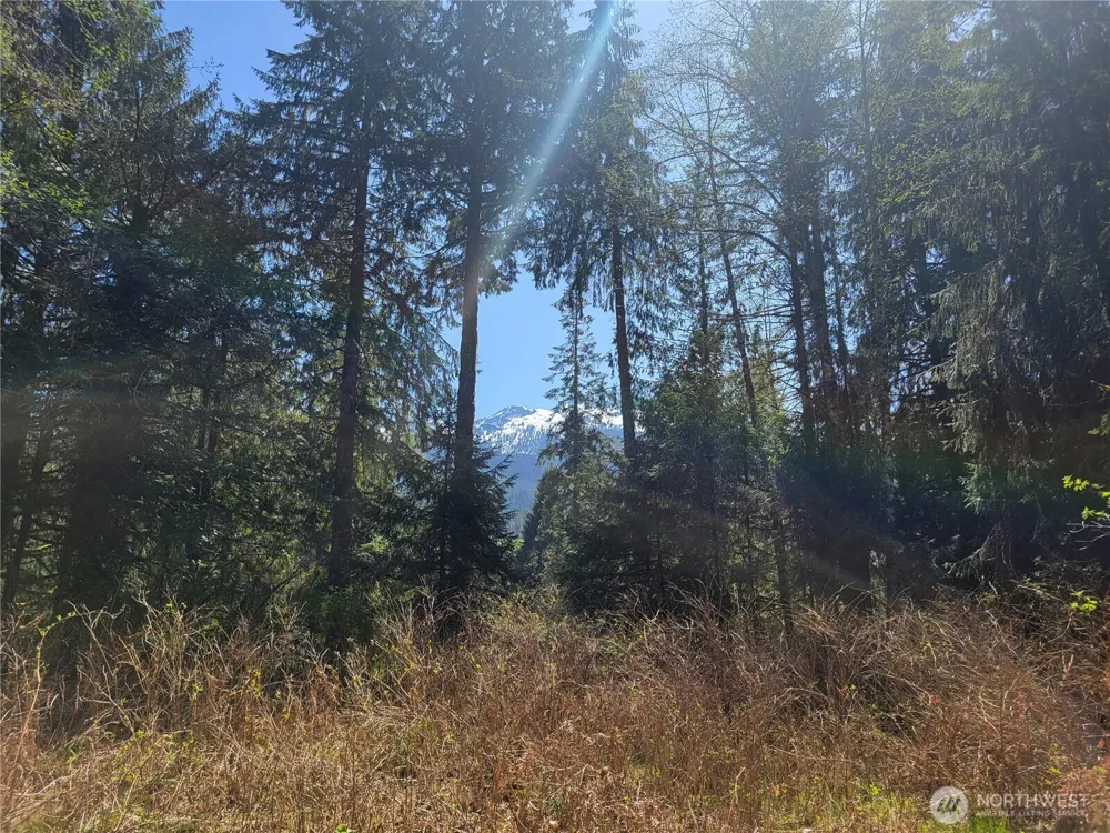 0 XXX Mtn Loop Highway Granite Falls, WA 98252