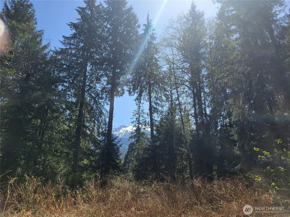 0 XXX Mtn Loop Highway Granite Falls, WA 98252
