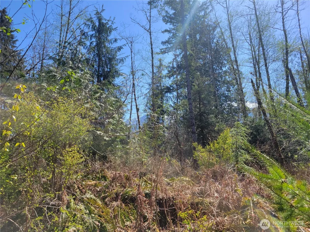 0 XXX Mtn Loop Highway Granite Falls, WA 98252