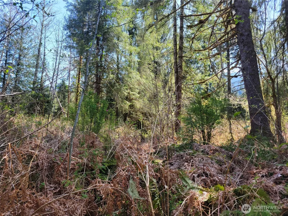 0 XXX Mtn Loop Highway Granite Falls, WA 98252
