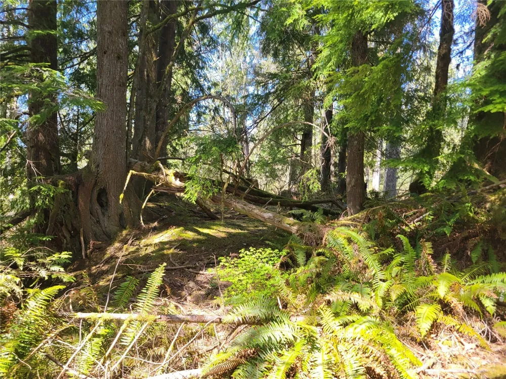 0 XXX Mtn Loop Highway Granite Falls, WA 98252