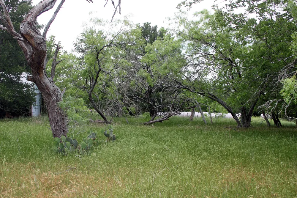 7887 Pettytown Road Red Rock, TX 78662
