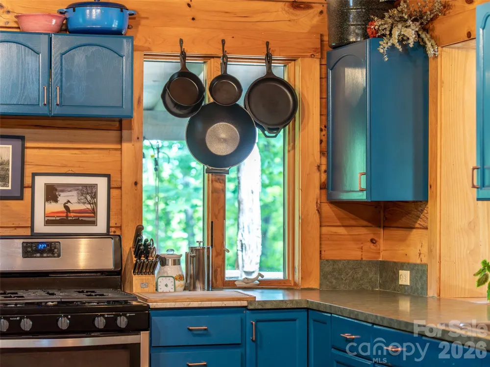 520 Patricia Road Black Mountain, NC 28711
