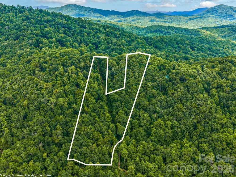 520 Patricia Road Black Mountain, NC 28711