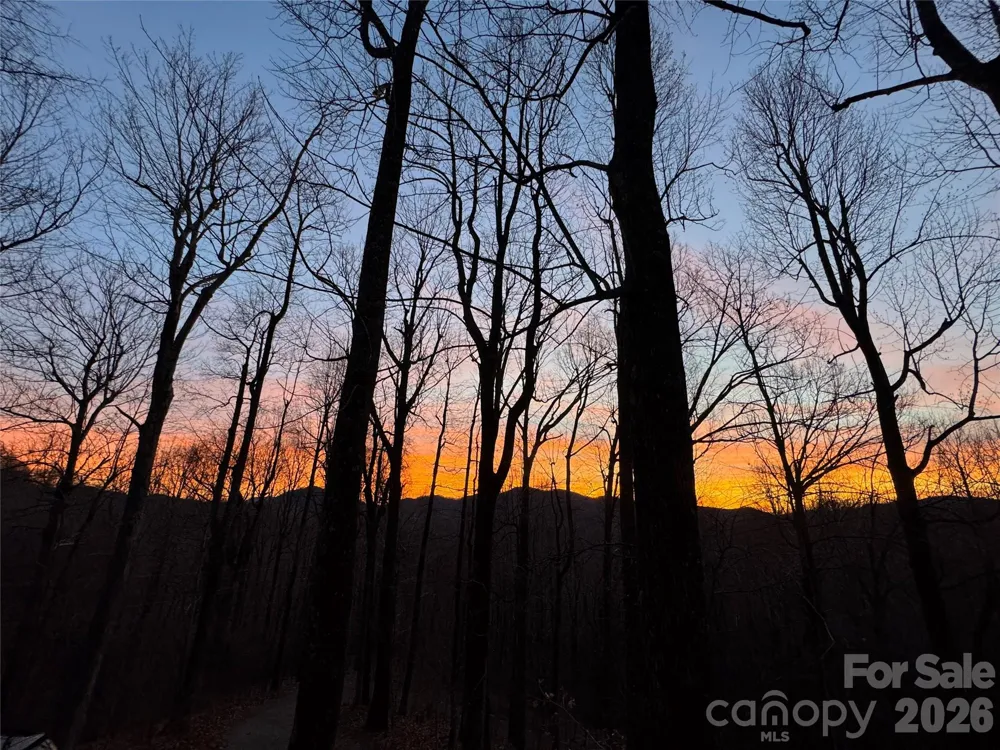 520 Patricia Road Black Mountain, NC 28711