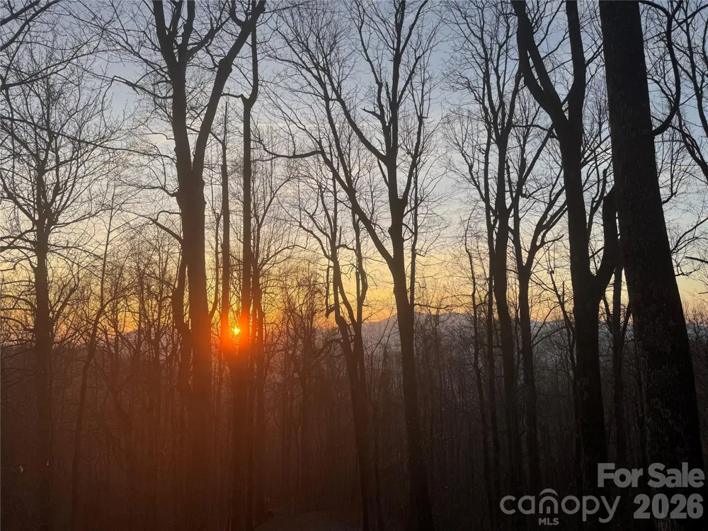 520 Patricia Road Black Mountain, NC 28711