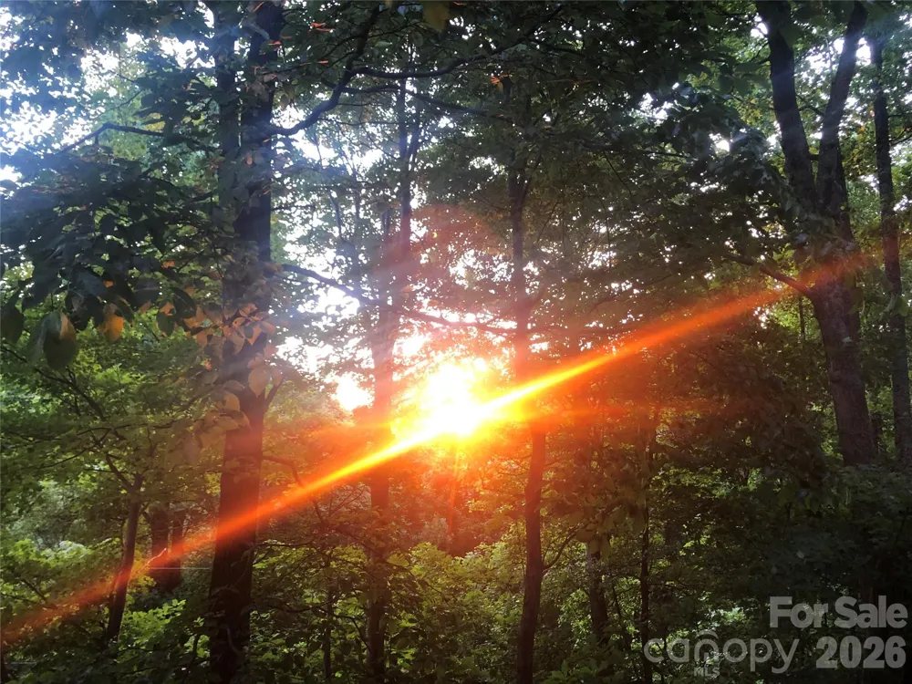 520 Patricia Road Black Mountain, NC 28711