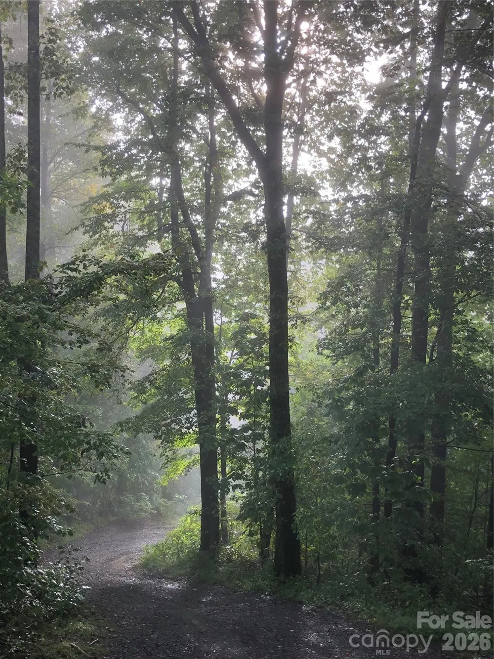 520 Patricia Road Black Mountain, NC 28711