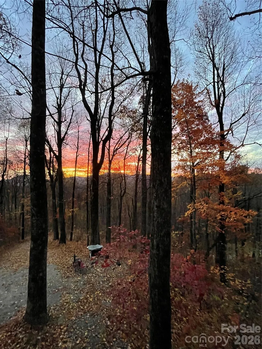 520 Patricia Road Black Mountain, NC 28711