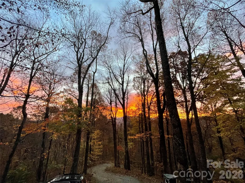 520 Patricia Road Black Mountain, NC 28711