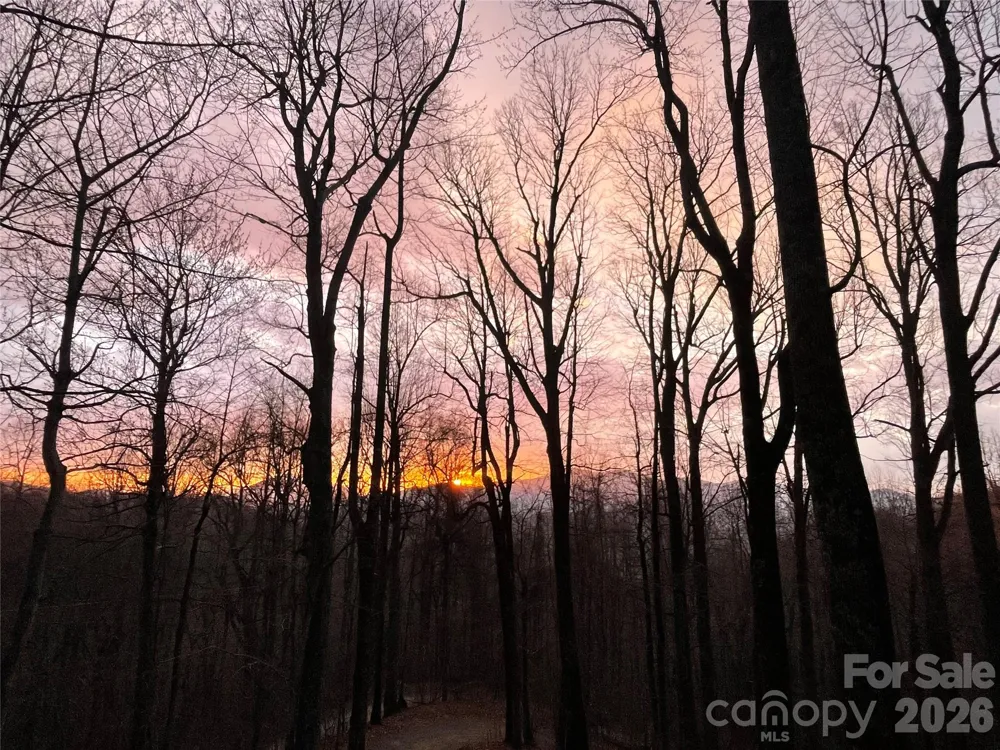 520 Patricia Road Black Mountain, NC 28711