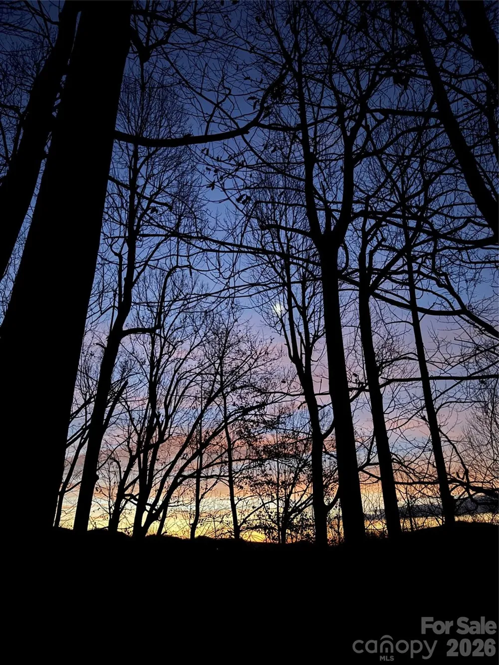 520 Patricia Road Black Mountain, NC 28711