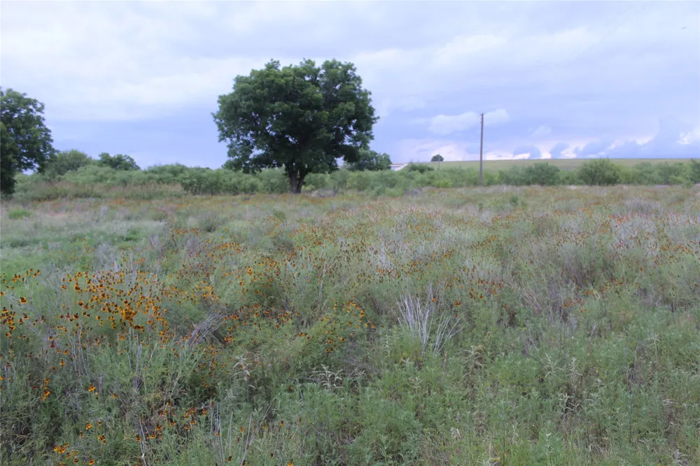 510 Hamby Road Clyde, TX 79510
