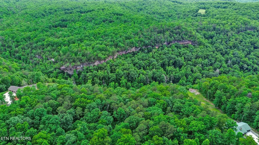 0 Eagle Bluff Jamestown, TN 38556