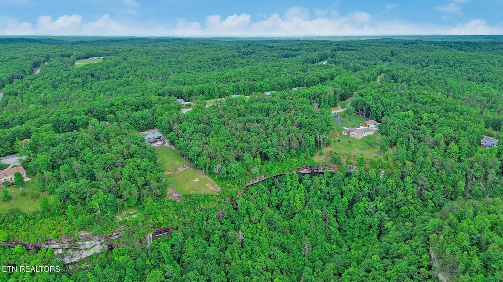 0 Eagle Bluff Jamestown, TN 38556