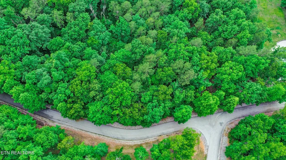 0 Eagle Bluff Jamestown, TN 38556