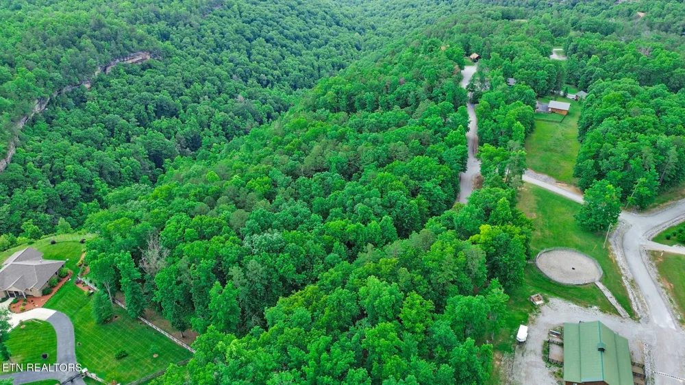 0 Eagle Bluff Jamestown, TN 38556