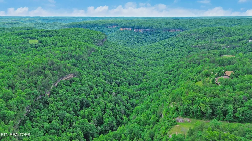 0 Eagle Bluff Jamestown, TN 38556
