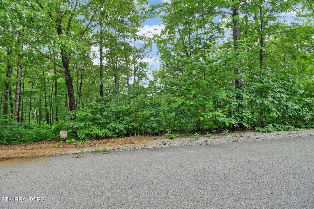 0 Eagle Bluff Jamestown, TN 38556