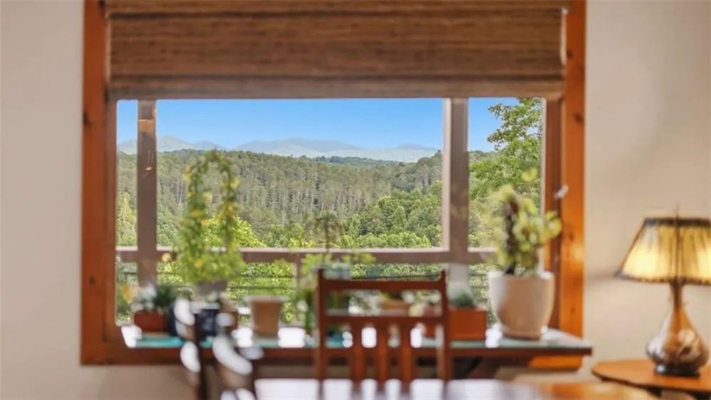 101 Toccoa Vista Lane Mineral Bluff, GA 30559