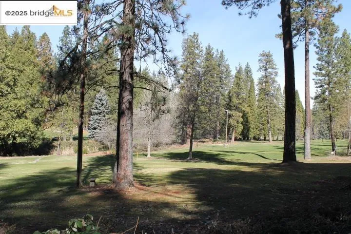 22846 Fuller Rd Twain Harte, CA 95383