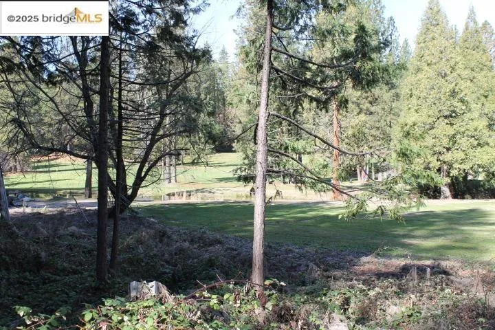 22846 Fuller Rd Twain Harte, CA 95383