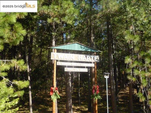 22846 Fuller Rd Twain Harte, CA 95383