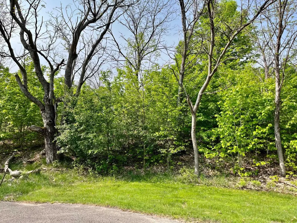Spyglass Hill Court Custer Township, MI 49615