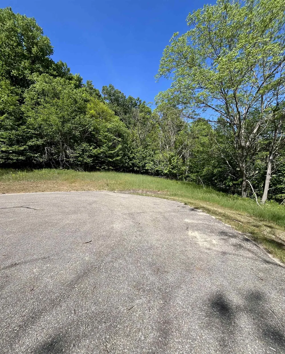 Spyglass Hill Court Custer Township, MI 49615
