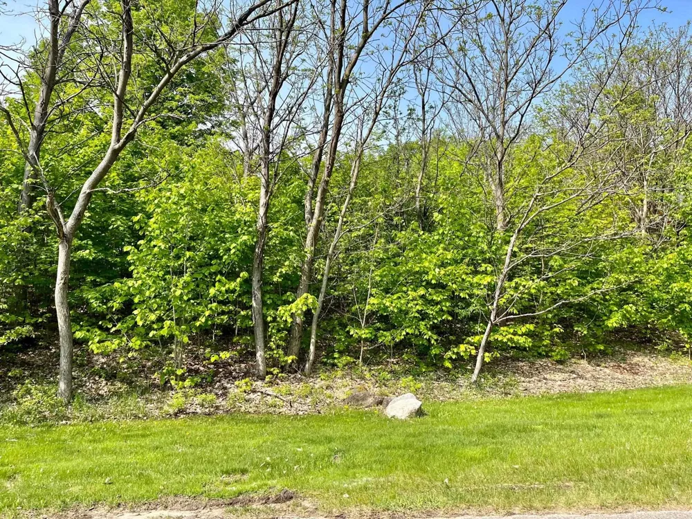 Spyglass Hill Court Custer Township, MI 49615