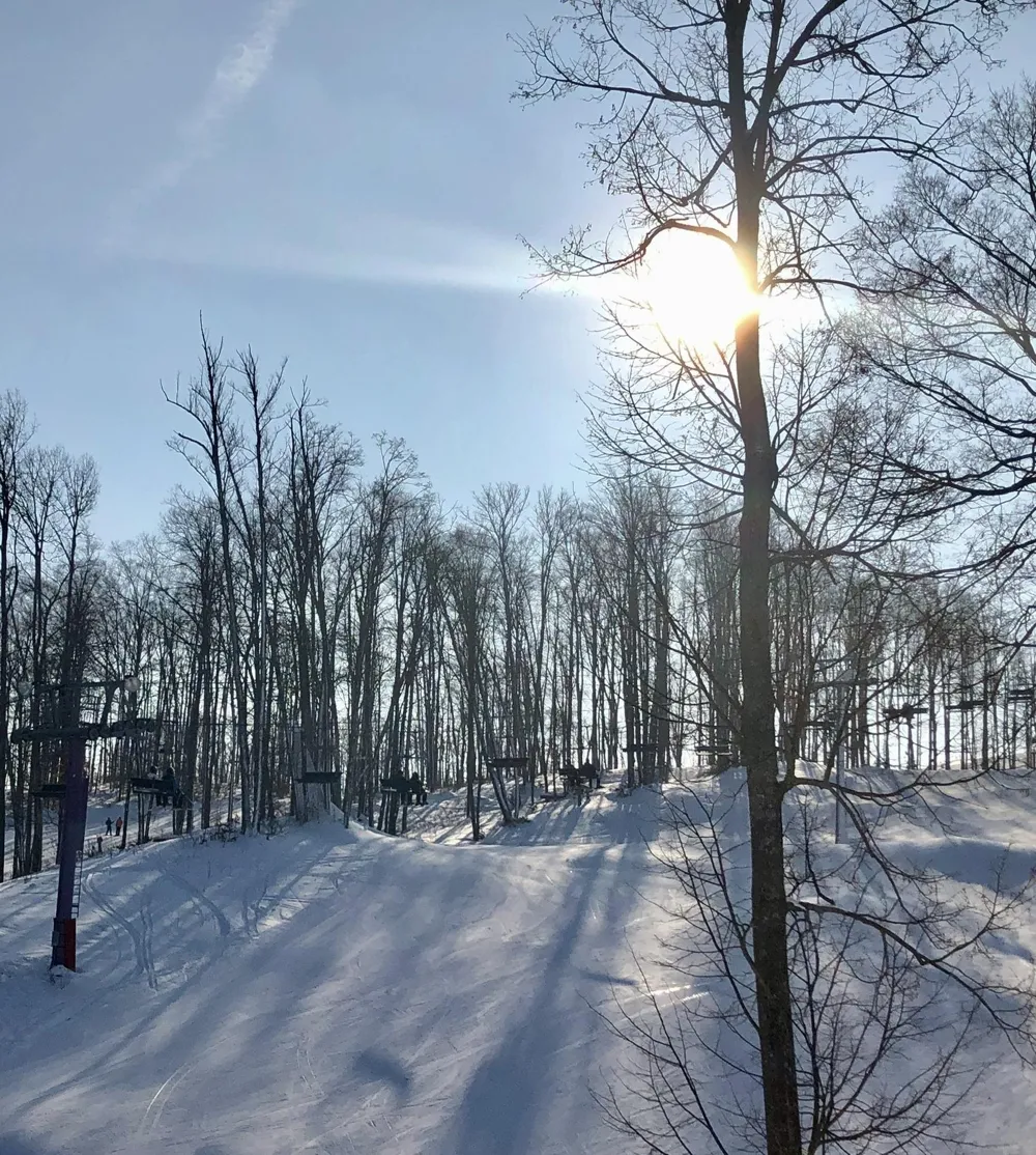 Spyglass Hill Court Custer Township, MI 49615