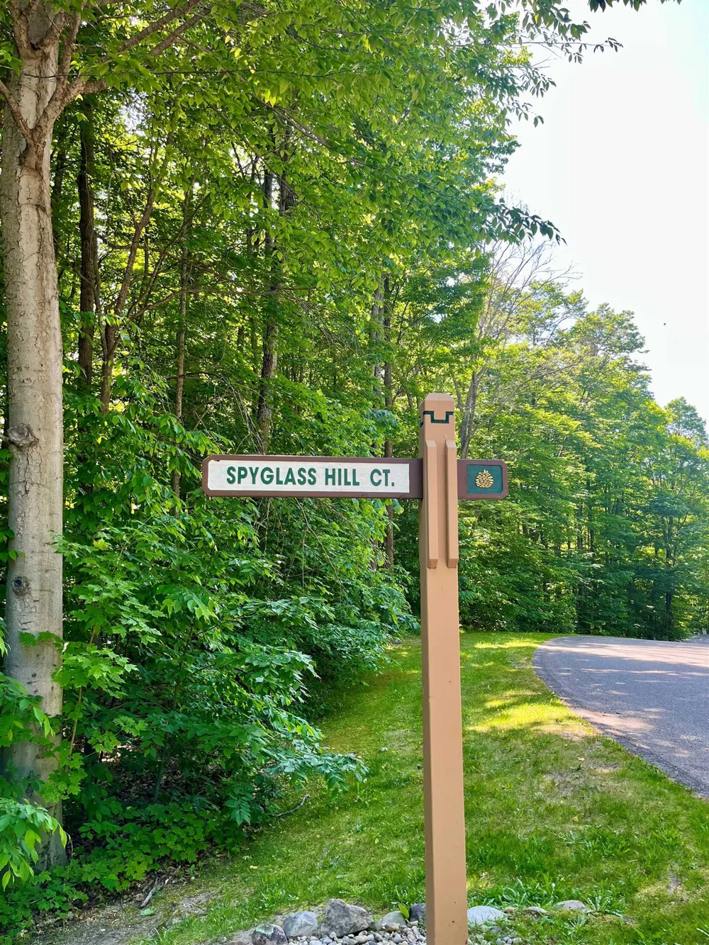 Spyglass Hill Court Custer Township, MI 49615