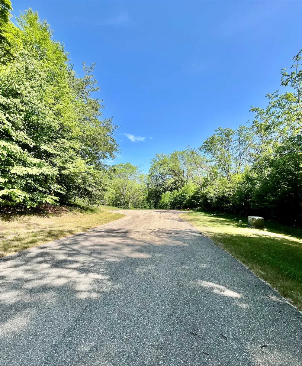 Spyglass Hill Court Custer Township, MI 49615