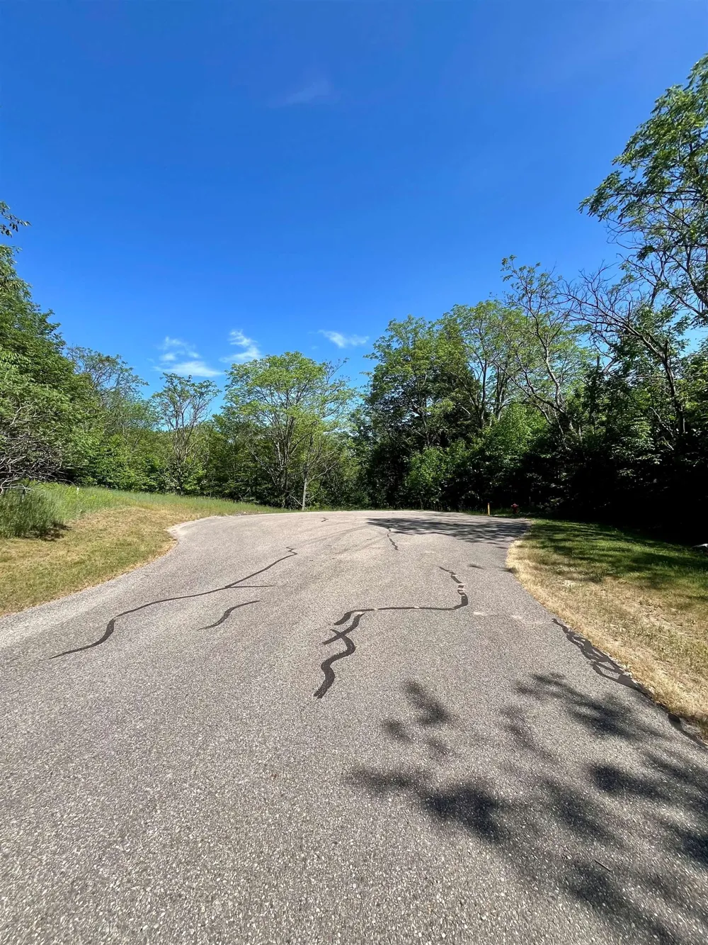 Spyglass Hill Court Custer Township, MI 49615