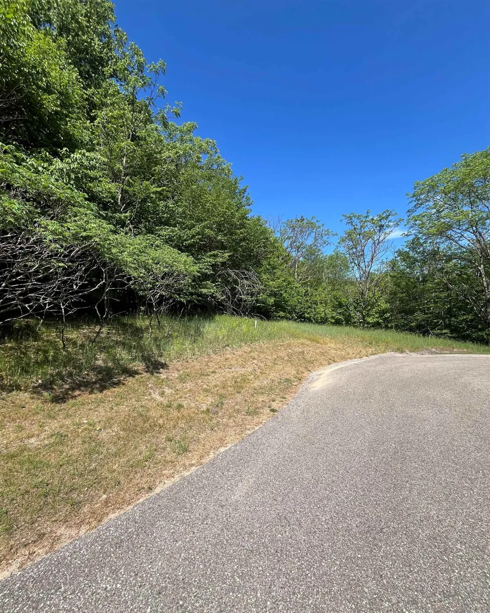 Spyglass Hill Court Custer Township, MI 49615