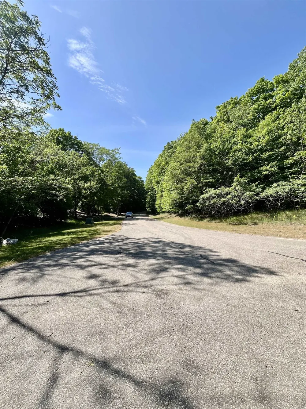 Spyglass Hill Court Custer Township, MI 49615